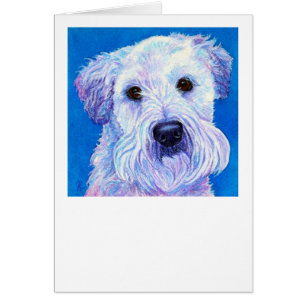 "Bailey" - Wheaten Terrier Card