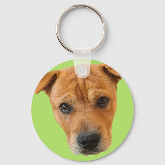 Baileybobs Shirt Key Ring (Front)