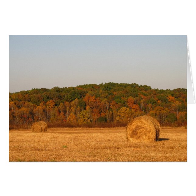 Bails of Hay (Front Horizontal)