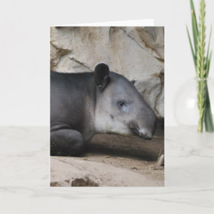 Baird's Tapir Greeting Card