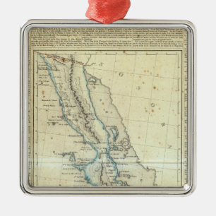 Baja California, Mexico Metal Tree Decoration