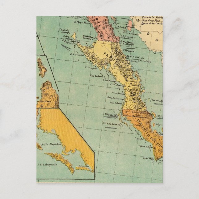 Baja California, Mexico Postcard (Front)