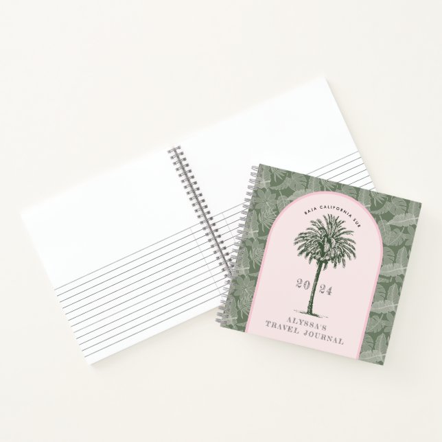 Baja California Sur | Palm Tree Travel Journal (Inside)