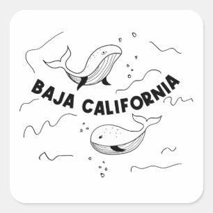 Baja California Whales Square Sticker