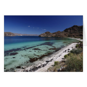 Baja Conception Bay