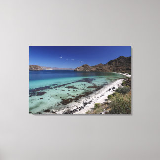 Baja Conception Bay Canvas Print