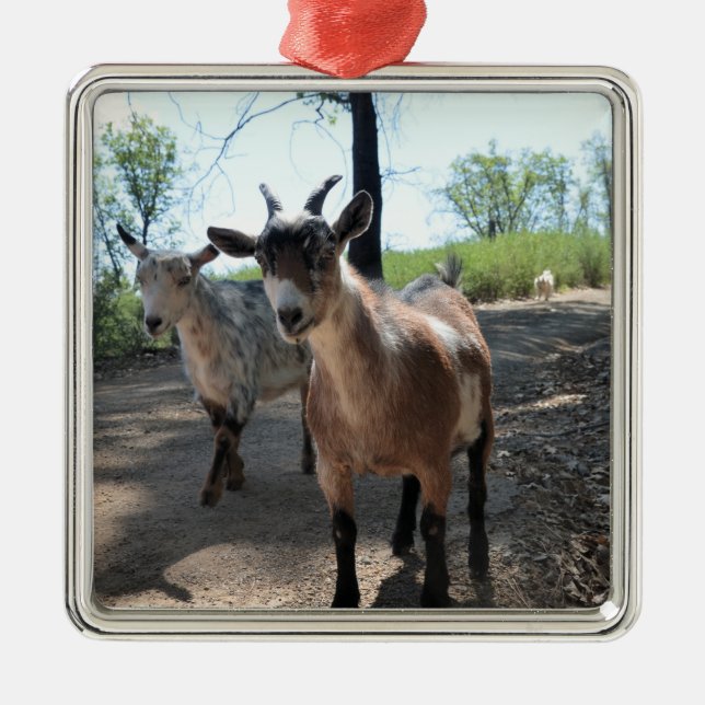 Baka & LuLit, Happy Goats Ornament (Front)