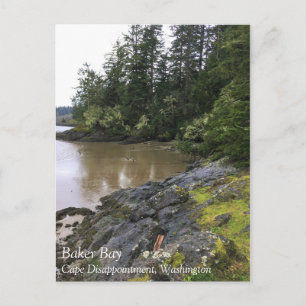 Baker Bay, Cape Disappointment, Washington Postcard