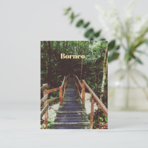 Bako National Park - Borneo Postcard