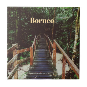 Bako National Park - Borneo Tile