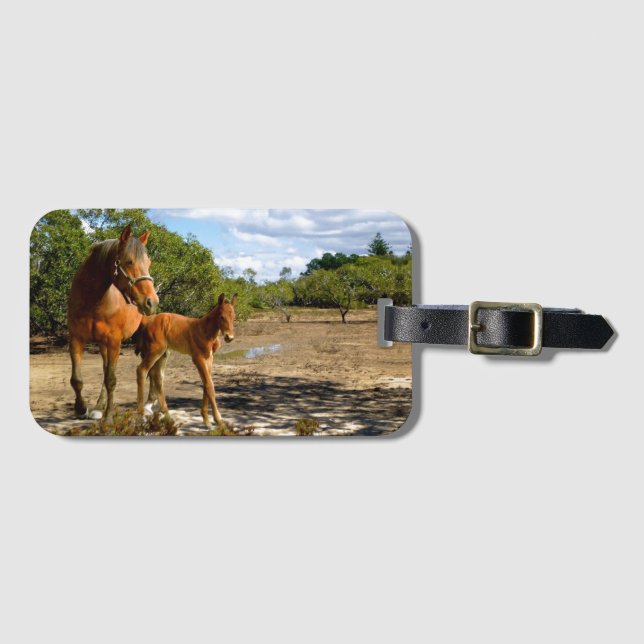 balance luggage tag (Front Horizontal)