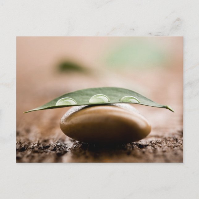 Balance postcard (Front)