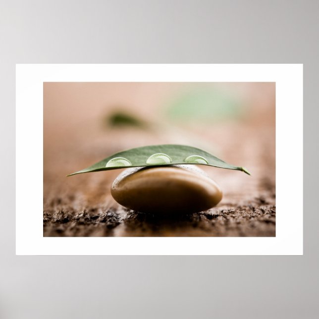 Balance poster/canvas poster (Front)