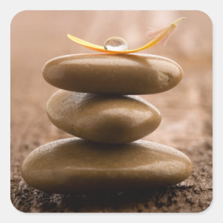 Balance sticker