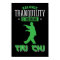 Balance Tranquillity Strenght Tai Chi