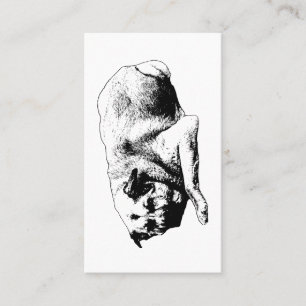 Balanced Mind, Soft Echo Business Card