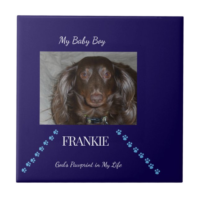 Balanced Pawprint Blessing Keepsake Tile (Front)