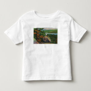Balanced Rock View of Fulton Chain of Lakes Toddler T-Shirt