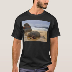 Balanced Rocks and Driftwood on Australian Beach T-Shirt