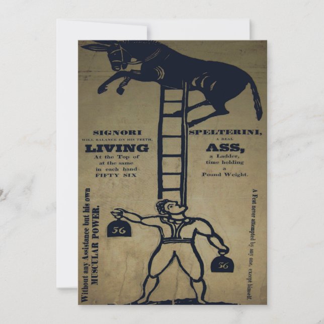 Balancing a Living Donkey ~ Invitations (Front)