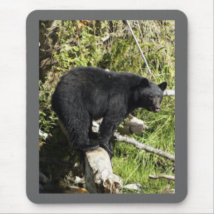 "Balancing Act" Black Bear gifts Mouse Mat
