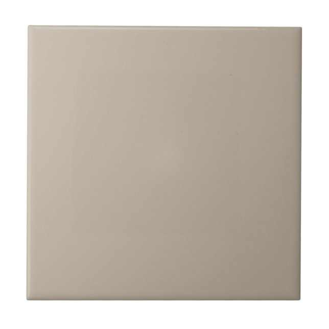 Balancing Beige Square Kitchen and Bathroom Tile (Front)