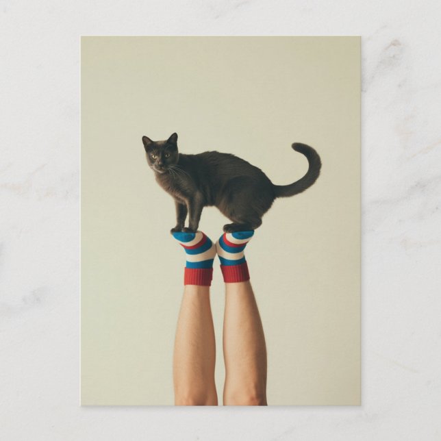 Balancing Cat on Striped Socks, Cat Lovers Postcard (Front)