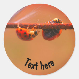 Balancing Ladybugs Nature Personalised Classic Round Sticker
