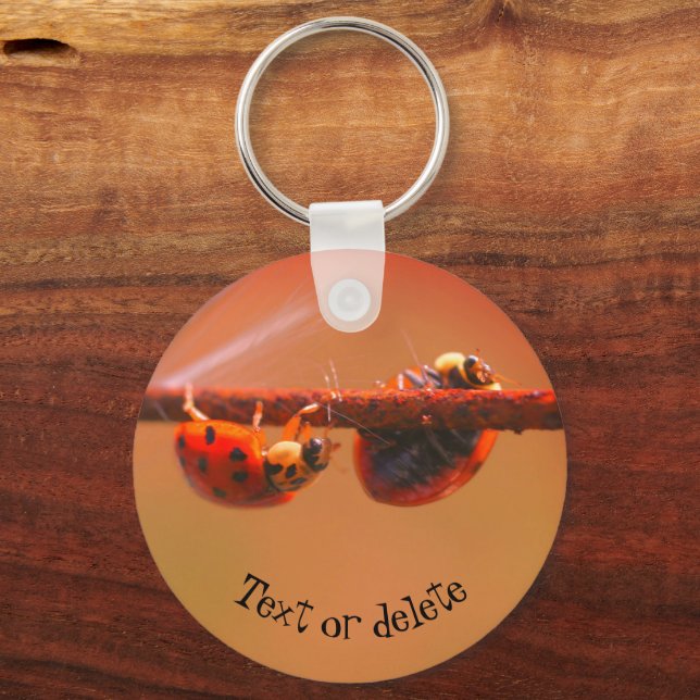 Balancing Ladybugs Nature Personalised Key Ring (Front)