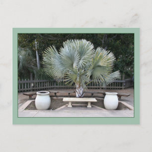 Balboa Park Scene Reminiscent of Maxfield Parrish Postcard