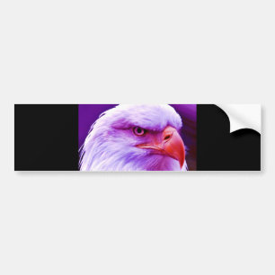 Bald American Eagle Bumper Sticker