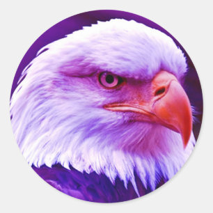 Bald American Eagle Classic Round Sticker