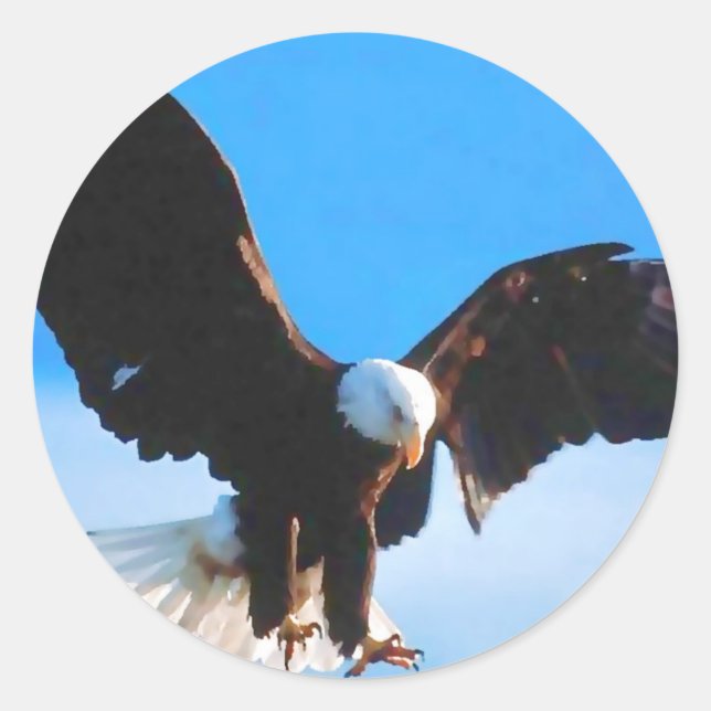 Bald American Eagle Classic Round Sticker (Front)