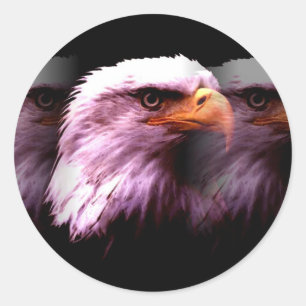 Bald American Eagle Classic Round Sticker