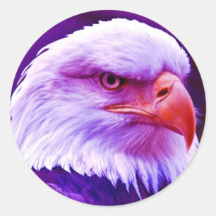 Bald American Eagle Classic Round Sticker