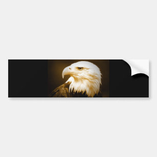 Bald American Eagle Eye Bumper Sticker
