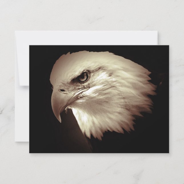 Bald American Eagle Eye Invites (Front)