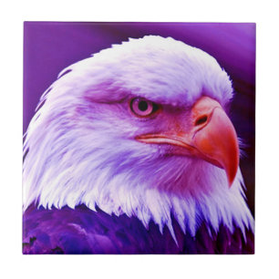 Bald American Eagle Tile