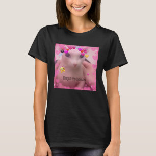 Bald Bingus My Beloved Hairless Sphinx Cat T-Shirt