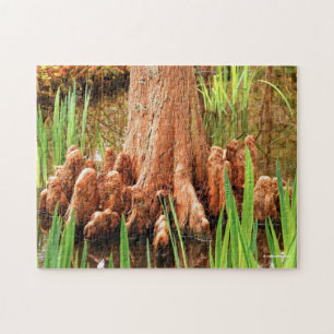 Bald Cypress Knees Jigsaw Puzzle