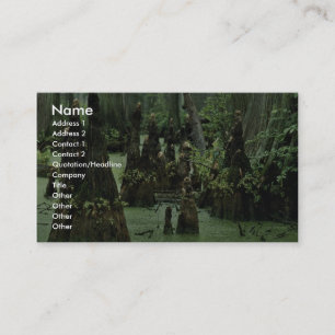 Bald cypress knees rising from swamp water business card