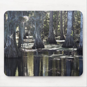 Bald Cypress Mouse Mat