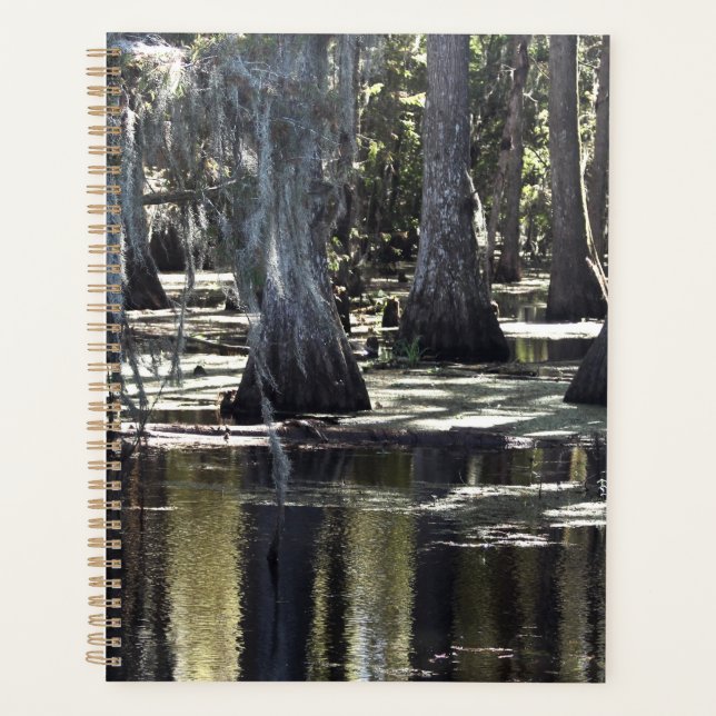 Bald Cypress Planner (Front)