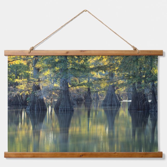 Bald Cypress Trees | Horseshoe Lake Illinois Hanging Tapestry (Front)
