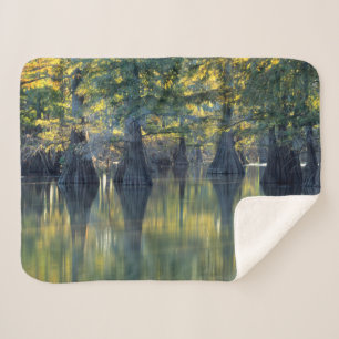 Bald Cypress Trees Horseshoe Lake Illinois Sherpa Blanket