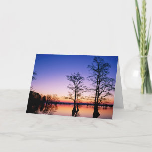 Bald Cypress Trees   National Wildlife Refuge, TN Card
