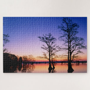Bald Cypress Trees National Wildlife Refuge, TN Jigsaw Puzzle