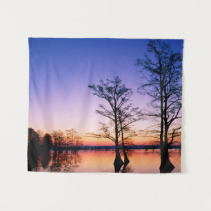 Bald Cypress Trees   National Wildlife Refuge, TN Tapestry