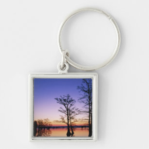 Bald cypress trees silhouetted at sunset, key ring