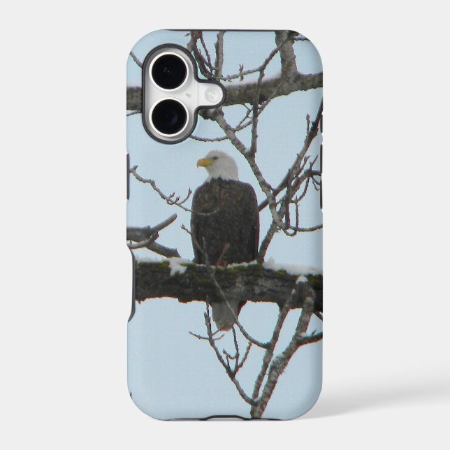 Bald Eagle (Back)